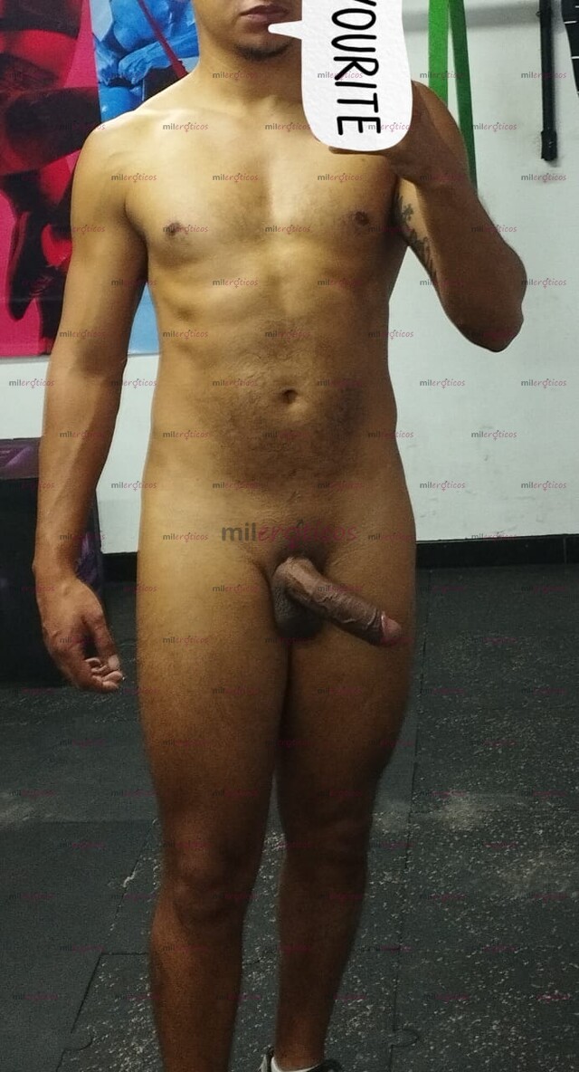 FOTOS DE HOLA, SOY NUEVO POR ACÁ. DOTADO, VERSÁTIL.