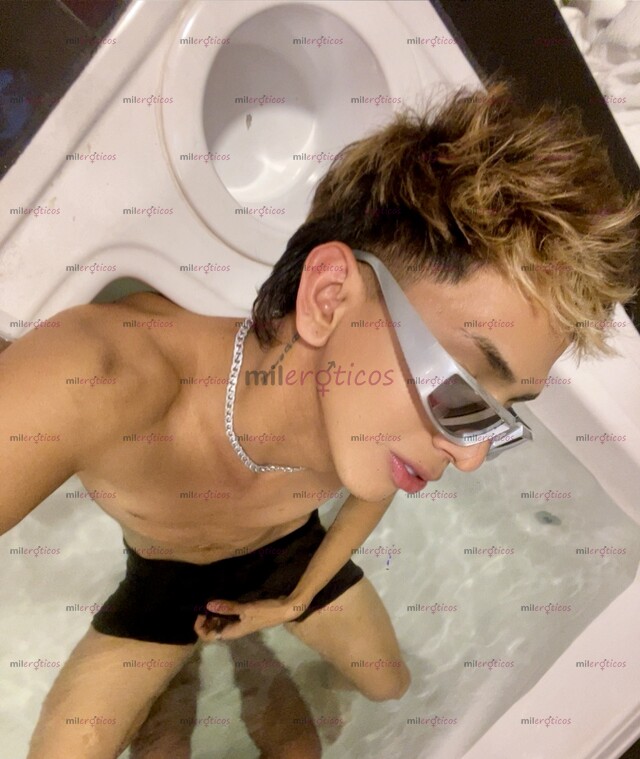 FOTOS DE NUEVO EN LA CIUDAD POLLO VERSÁTIL LECHERO 18 AÑOS