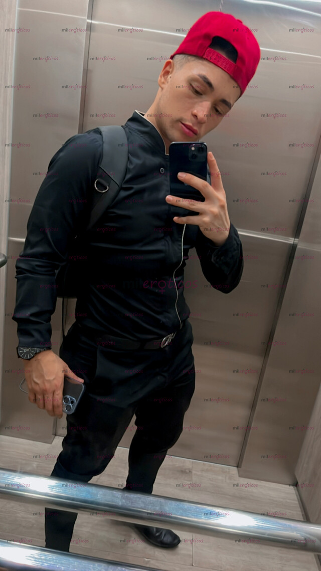 FOTOS DE POLLO ARRECHO LECHERO CON SITIO PV COMPLACIENTE