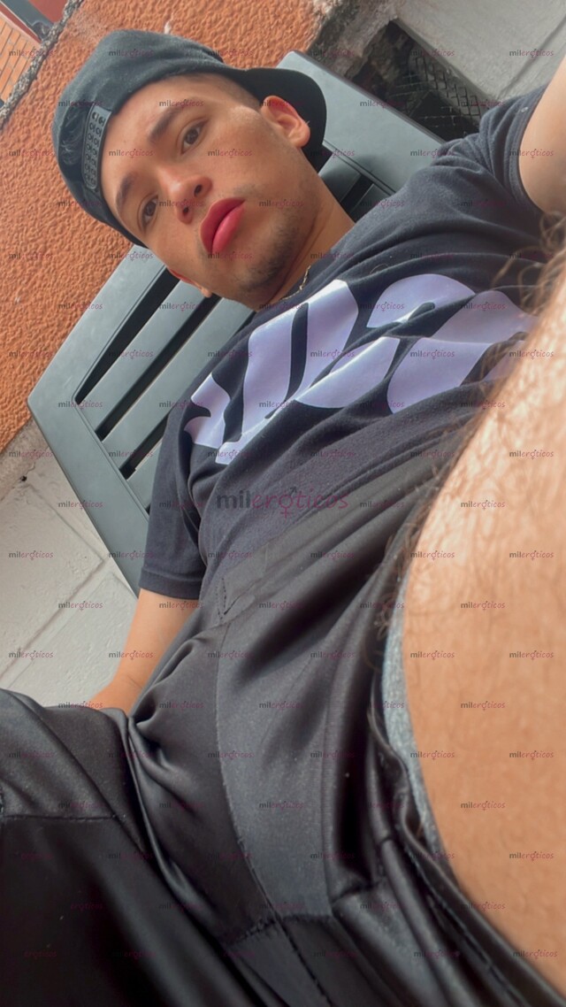 FOTOS DE POLLO ARRECHO LECHERO CON SITIO PV COMPLACIENTE