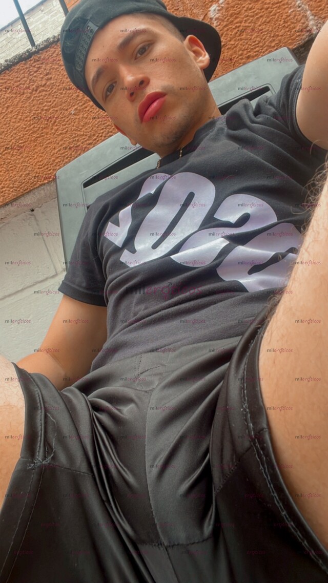 FOTOS DE POLLO ARRECHO LECHERO CON SITIO PV COMPLACIENTE