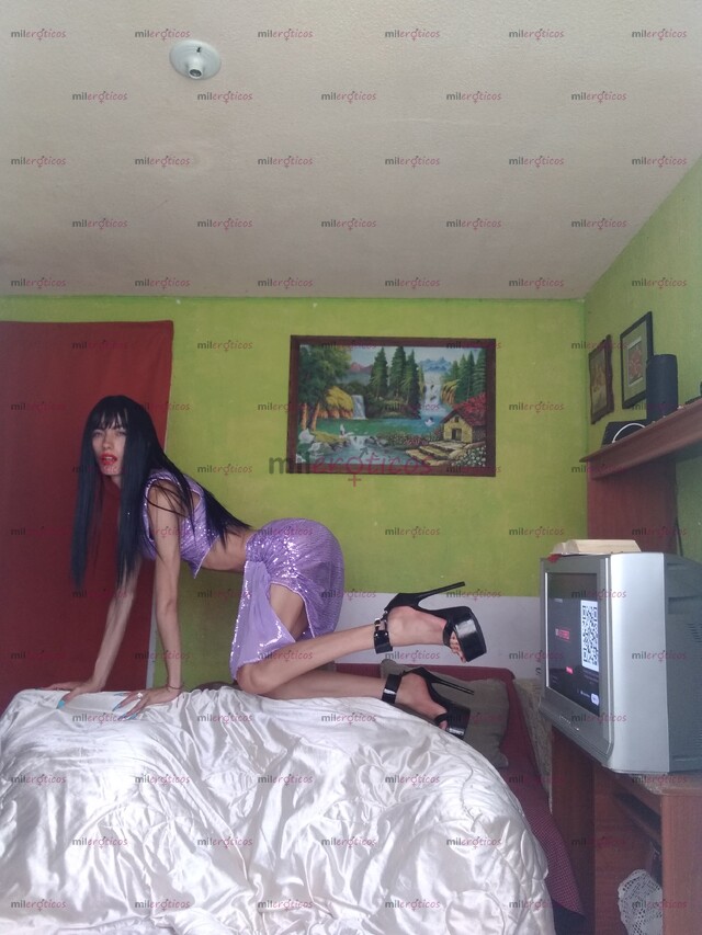 FOTOS DE KOTONOHA19 AÑOS DE EDAD SÚPER COMPLACIENTE Y EDUCADA LAS 24 HORAS DEL DÍA AMOR.