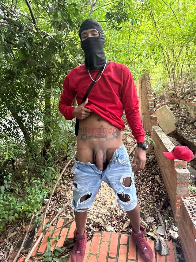 FOTOS DE LEER DESCRIPCIÓN NO TENGO