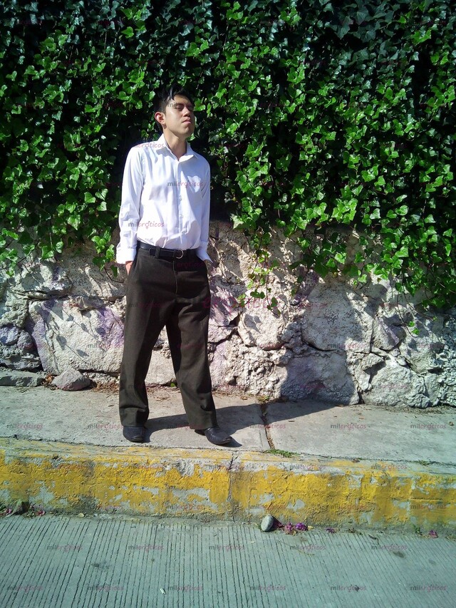 FOTOS DE PLACER OCASIONAL A LA DISPOSICIÓN QUE NEGOCIAMOS