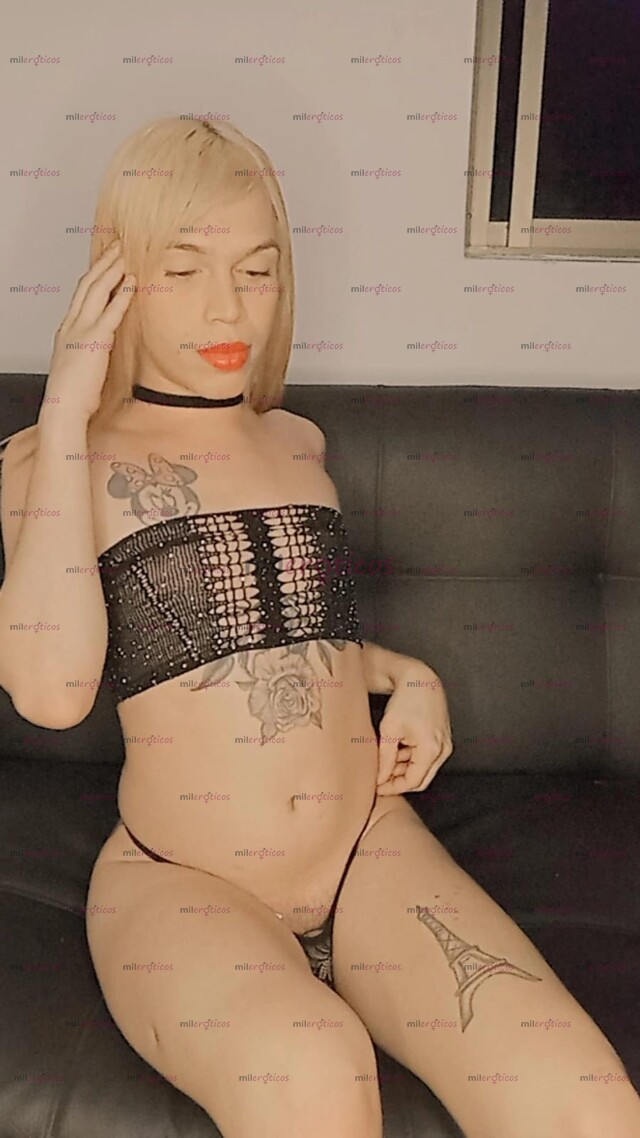 FOTOS DE ESTOY A TU DISPOSICIÓN, PERRA MORBOSA AGUANTADORA Y FULL LECHERA