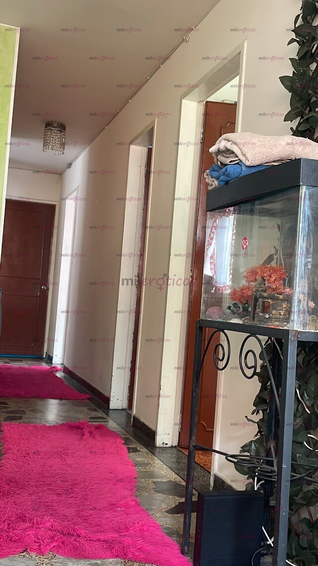 FOTOS DE LUXURY APARTAMENTOS EN PEREIRAA EXCELENTE UBICACIÓN CENTRO DE LA CIUDAD