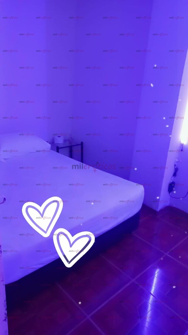 FOTOS DE CASA EN PEREIRA SE RENTAN HABITACIONES EN ZONA CENTRICA DE LA CIUDAD DE PEREIRA
