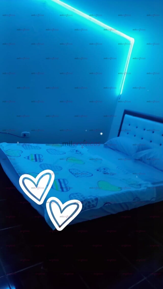 FOTOS DE CASA EN PEREIRA SE RENTAN HABITACIONES EN ZONA CENTRICA DE LA CIUDAD DE PEREIRA