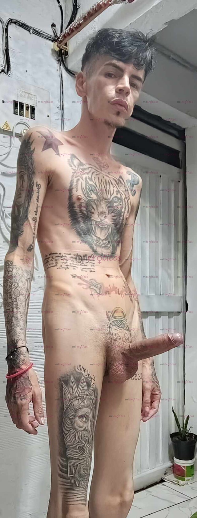 FOTOS DE SERIO FLACO FETICHERO VENTA DE VIDEITOS RICOS Y VIDIO LLAMADAS