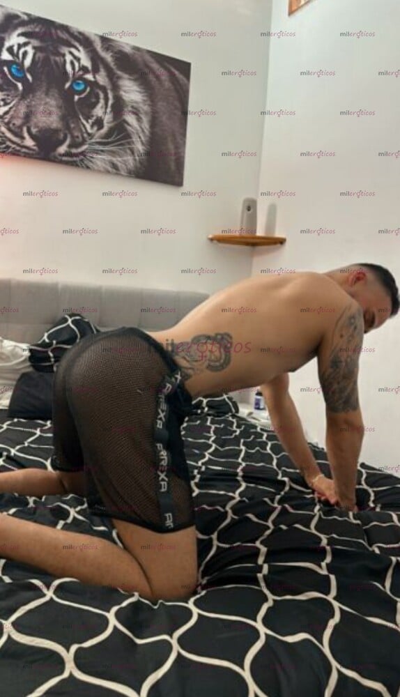 FOTOS DE SOLO POCOS DÍAS VENEZOLANO XL DISPONIBLE