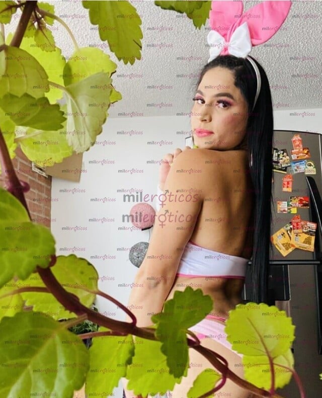 FOTOS DE SOY ANGELA UNA NENA TRANS DE ALTO IMPACTO DISPONIBLE EN TU CIUDAD PARA ATENDERTE