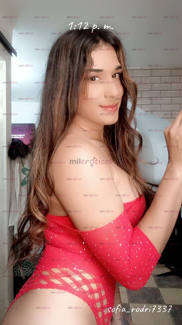 FOTOS DE NUEVA EN TU CIUDAD EN UN BUEN SECTOR DE LA CIUDAD 100% REAL SIN ENGAÑOS