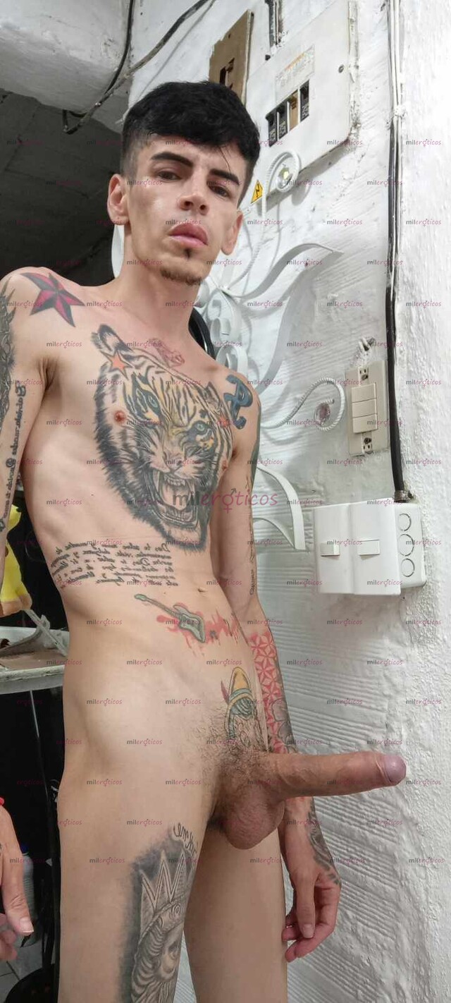 FOTOS DE VERGON FLACO ACTIVO BLANCO TATUADO VENTA CONTENIDO Y VIDEO LLAMADAS