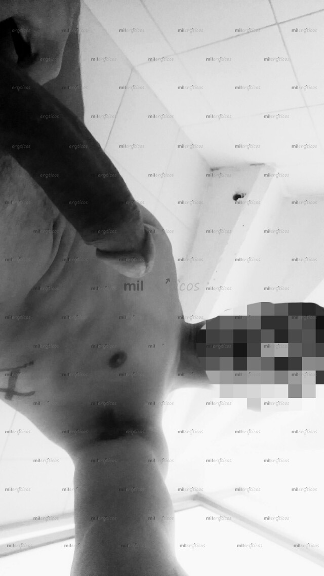 FOTOS DE SE MI PERRA CACHONDA, VEN SIN ARREPENTIMIENTOS,TE TRATARE SUCIO PERRA