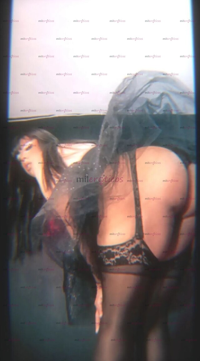 FOTOS DE RICA MORENA NALGONA, CACHONDA Y COMPLACIENTE