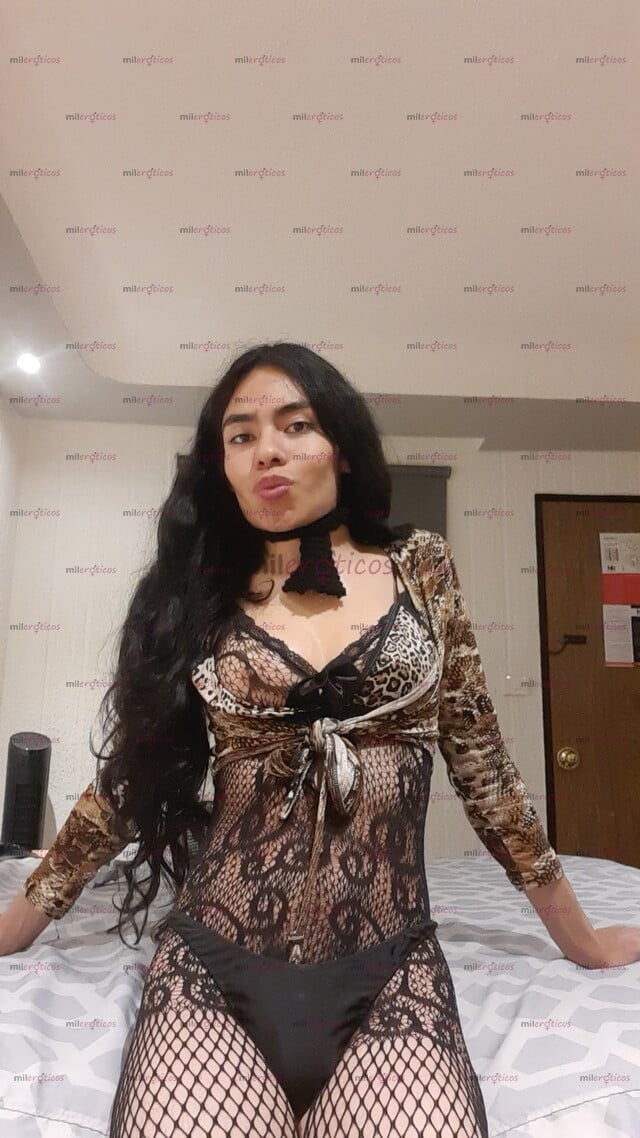 FOTOS DE MUÑECA ACTIVA SHEMALE TOP TRANNY LADYBOY HOT ACTIVE TRANSSEXUAL ATIVA