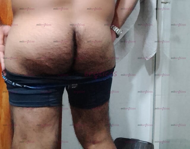 FOTOS DE OSO DOMINANTE MACHO ARRECHO PELUDO DISPONIBLE EN BELEN