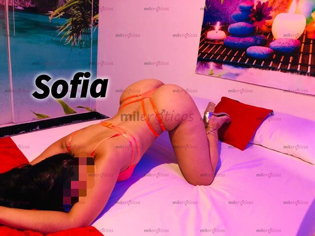 FOTOS DE SOFFIA BELLA ESCORT VIP FLACA ARDIENTE COMPLACIENTE EN MILEROTICO