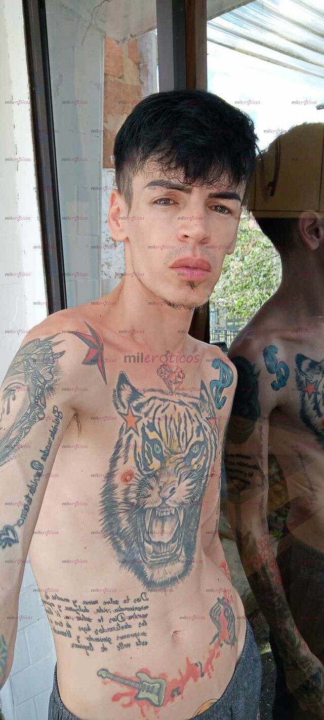 FOTOS DE FLACO ACTIVO VERGON ADICTO AL CULO VENTA CONYENIDO Y LLAMADAS HOT