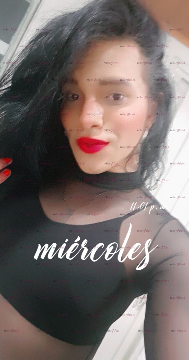 FOTOS DE ORAL AL NATURAL CHUPA CULO BIEN ARRECHA NADA DE MECÁNICA GENTE SOLVENTE