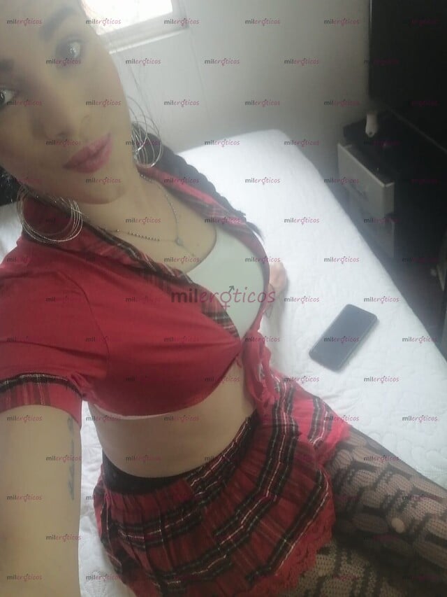 FOTOS DE PERRA LECHERA UBICADA POR PRIMERA VEZ SITIO PRIVADO E INDEPENDIENTE