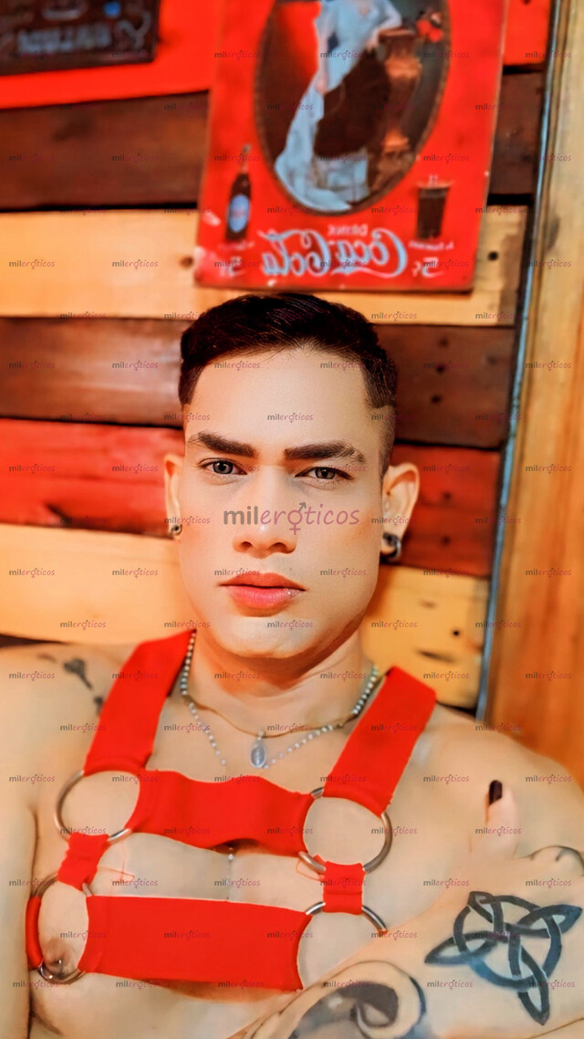 FOTOS DE MACHO VERGON LECHERO REVIENTA CULO POCOS DIAS