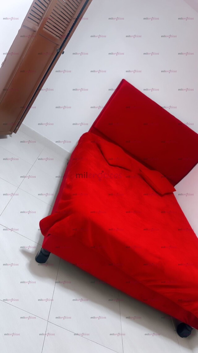 FOTOS DE PLAZA PARA CHICAS, HABITACIONES DE LUJO CALI!!