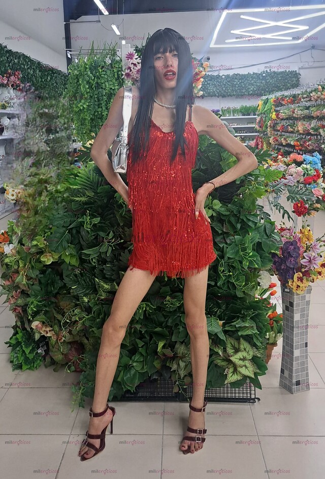 FOTOS DE PRINCESA SEXUAL . SOY COMPLETAMENTE COMPLACIENTE Y MIS FOTOS SON REGALES.