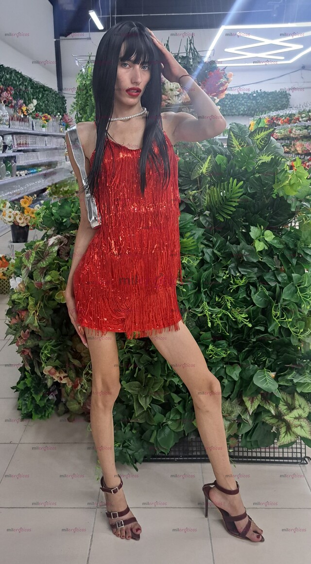 FOTOS DE PRINCESA SEXUAL . SOY COMPLETAMENTE COMPLACIENTE Y MIS FOTOS SON REGALES.