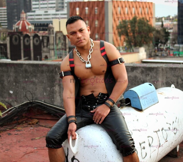 FOTOS DE CHAKAL ACTIVO DOMINANTE, 20CM REALES Y LISTO PARA SATISFACERTE