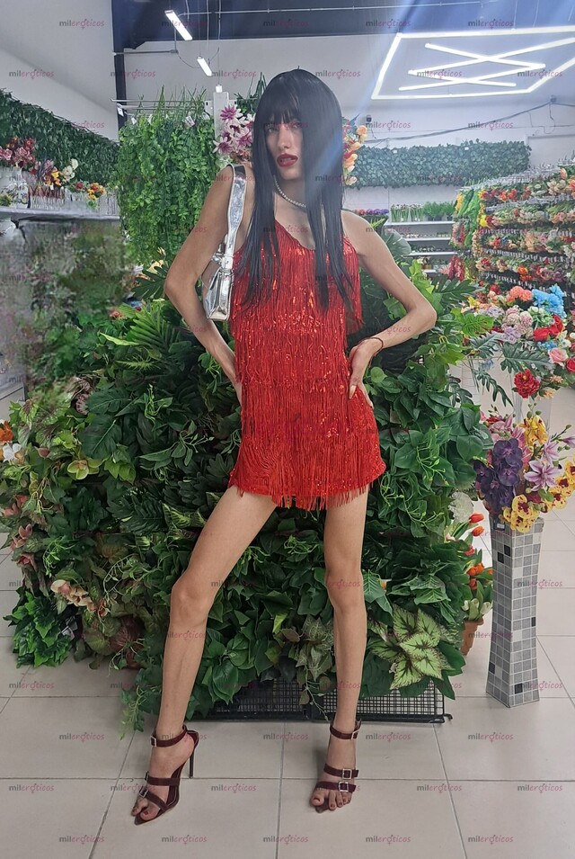 FOTOS DE DISFRUTARÁS AL MÁXIMO . MOMENTOS DE PLACER . LAS 24 HORAS DEL DÍA.