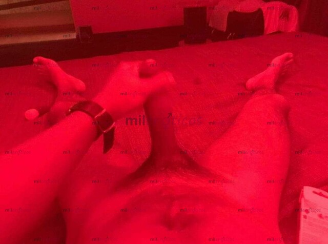 FOTOS DE CHAKAL ACTIVO DOMINANTE, 20CM REALES Y LISTO PARA SATISFACERTE