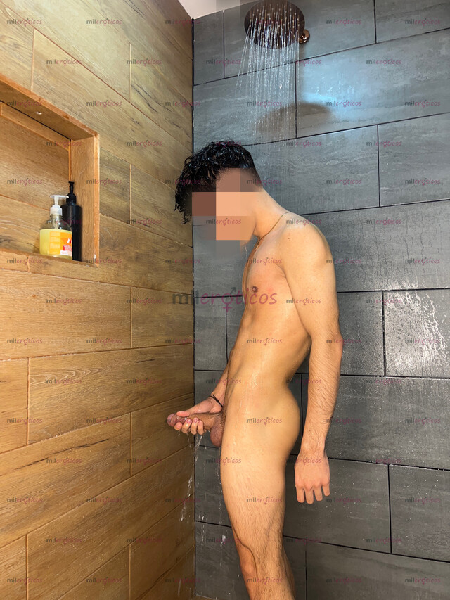 FOTOS DE POLLO PINTA VERS COMPLACIENTE Y APASIONADO