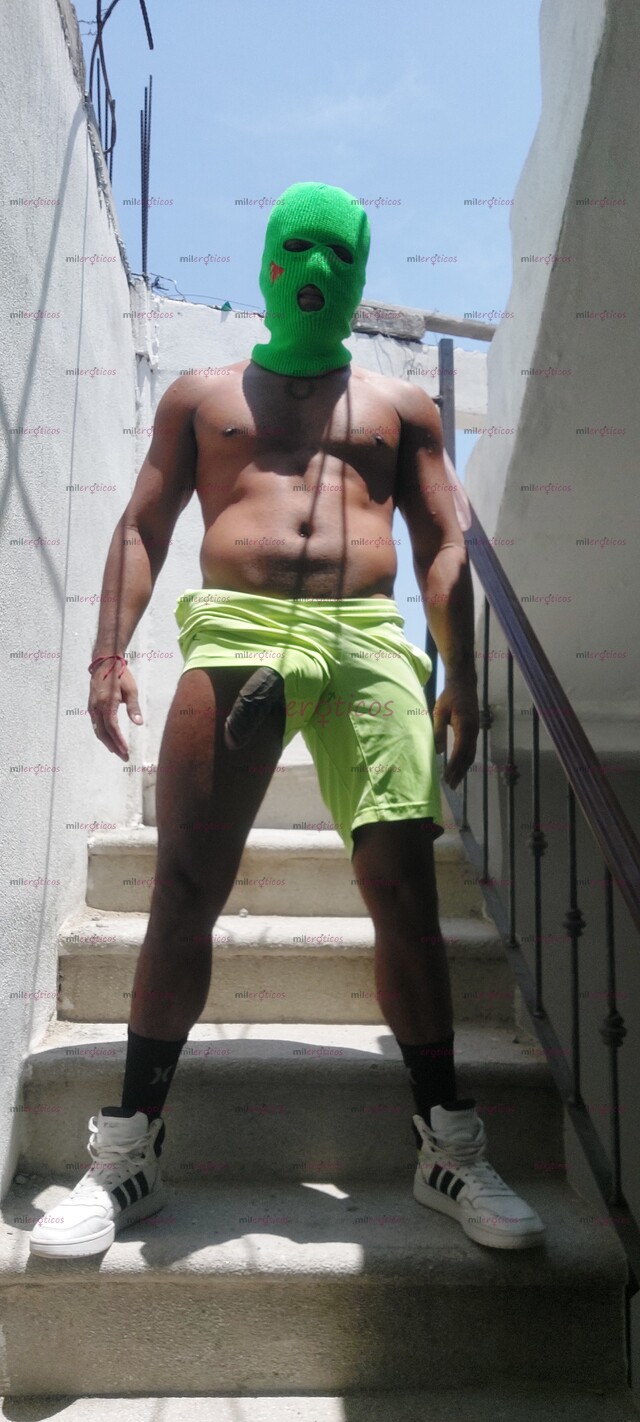 FOTOS DE CHACAL VERGON 23 CM LECHERO SOLO HOMBRES SOLVENTES NO CURIOSOS