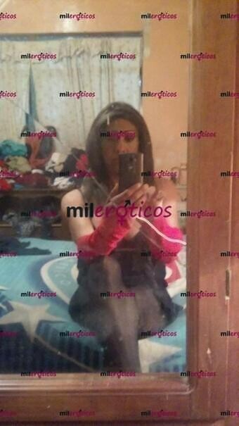 FOTOS DE ANDREA CHICA TRANSEXUAL INTERACTIVA MUY CACHONDA