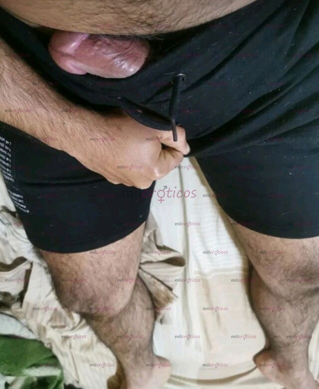 FOTOS DE OSO VERGÓN PELUDO MORENO SERIO FULL COMPLACIENTE