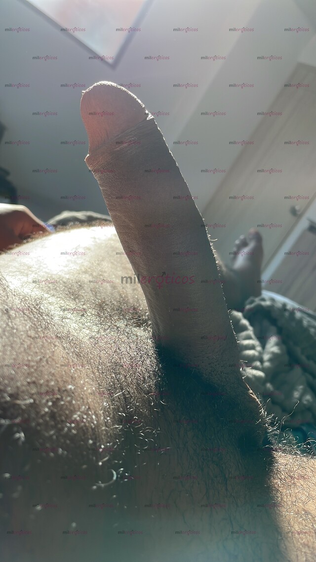 FOTOS DE CARTAGENERO VERGÓN, COMPLACIENTE Y LECHERO