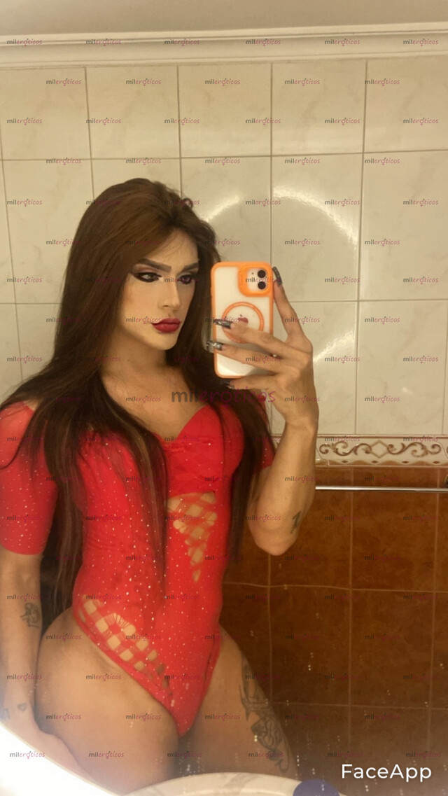 FOTOS DE VERGONA CULONA CON APTO PRIVADO SIN COMPLICACIONES