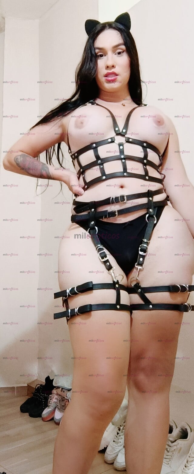 FOTOS DE KATE TRANS REAL FEMENINA ROSTRO NATURAL ANGELICAL TETONA CULONA EN CALI