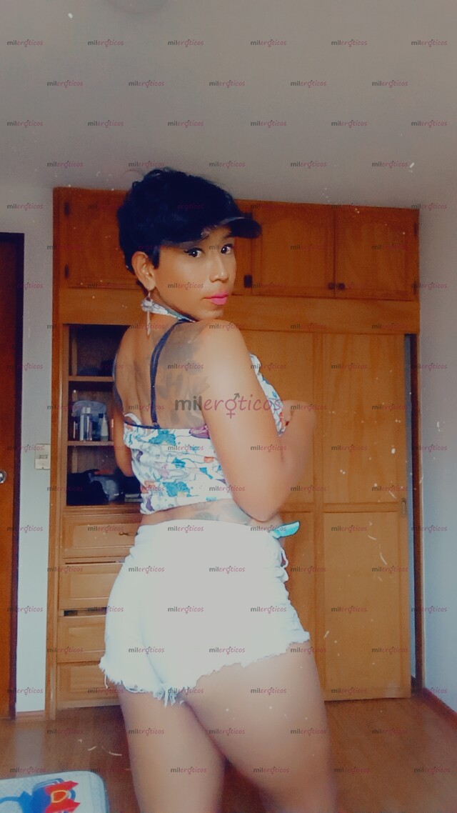 FOTOS DE PAOLA NENA TRANY SOLO MOTELES INTER COMPLACIENTE VERSÁT