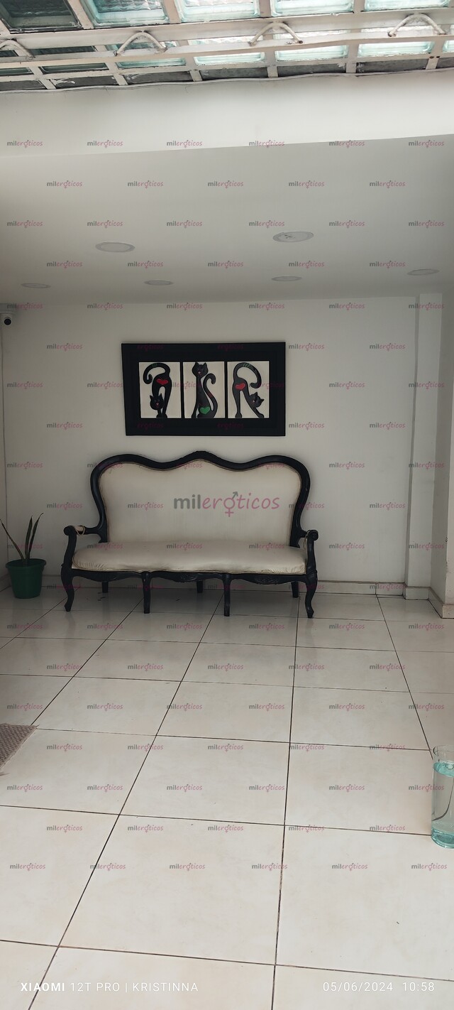 FOTOS DE CASA BUSCA CHICAS PARA GENERAR BUENOS INGRESOS