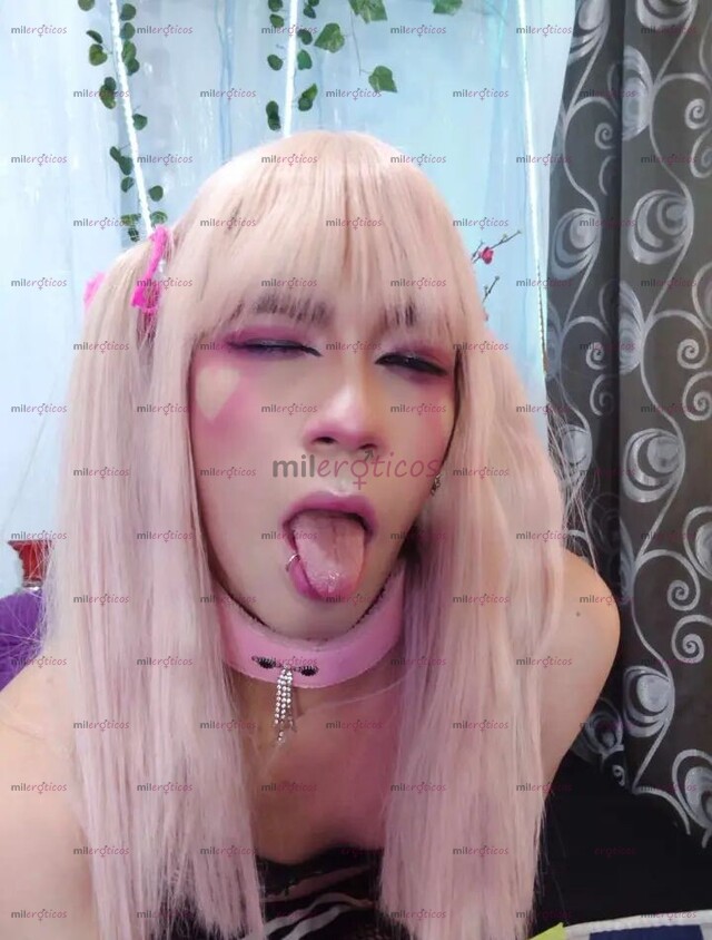 FOTOS DE HOLA HA LLEGADO ANY UNA CHICA TRANS HORMONIZADA DISPONIBLE QQ