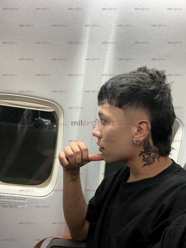 FOTOS DE POLLO PAISA MACHO ALTO TAUADO VERSÁTIL DISPONIBLE 24 7