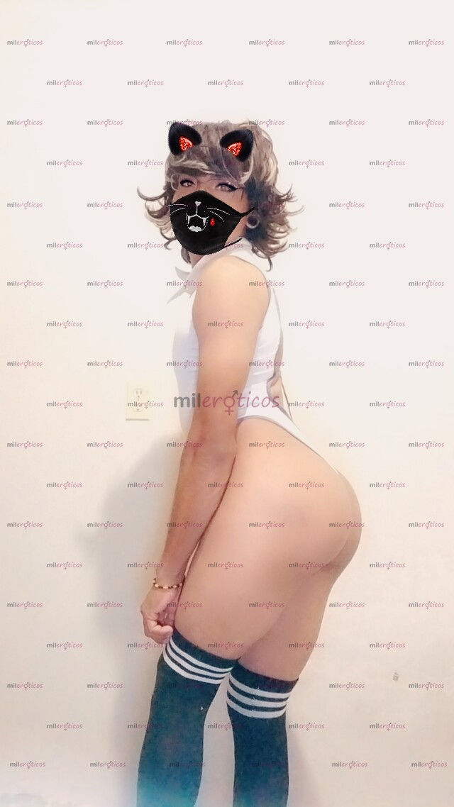 FOTOS DE FLAQUITA TRANS NUEVA EN EL HAMBIENTE SCORT INDEPENDIENTE