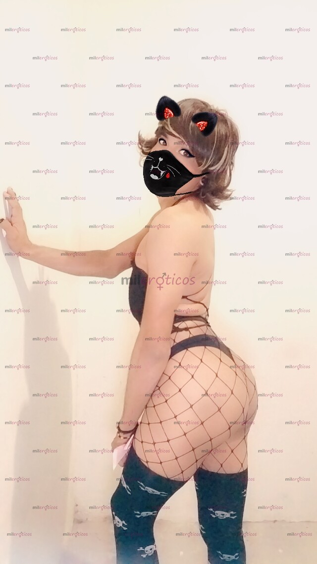 FOTOS DE FLAQUITA TRANS NUEVA EN EL HAMBIENTE SCORT INDEPENDIENTE