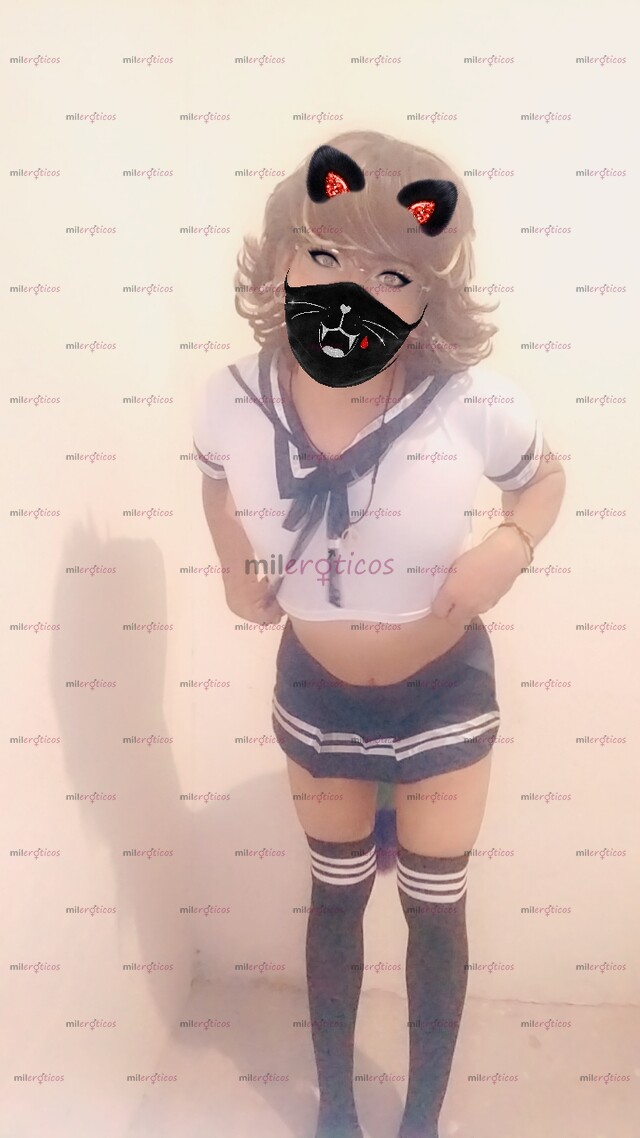 FOTOS DE FLAQUITA TRANS NUEVA EN EL HAMBIENTE SCORT INDEPENDIENTE