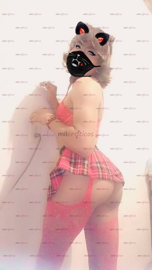 FOTOS DE FLAQUITA TRANS NUEVA EN EL HAMBIENTE SCORT INDEPENDIENTE