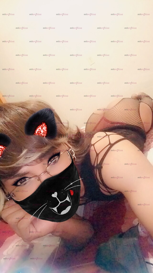 FOTOS DE FLAQUITA TRANS NUEVA EN EL HAMBIENTE SCORT INDEPENDIENTE