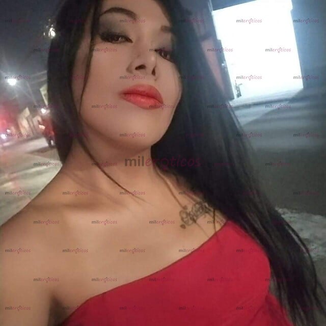FOTOS DE TRANS SUPER FEMENINA COMPLACIENTE FEMENINA Y EDUCADA
