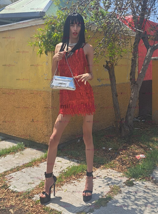 FOTOS DE TE REALIZÓ UNA RICA MAMADA TU PUTITA ESTÁ DISPONIBLE